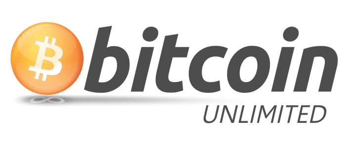 Bitcoin Cash Supporters Prepare for the Network's Next Six Months 