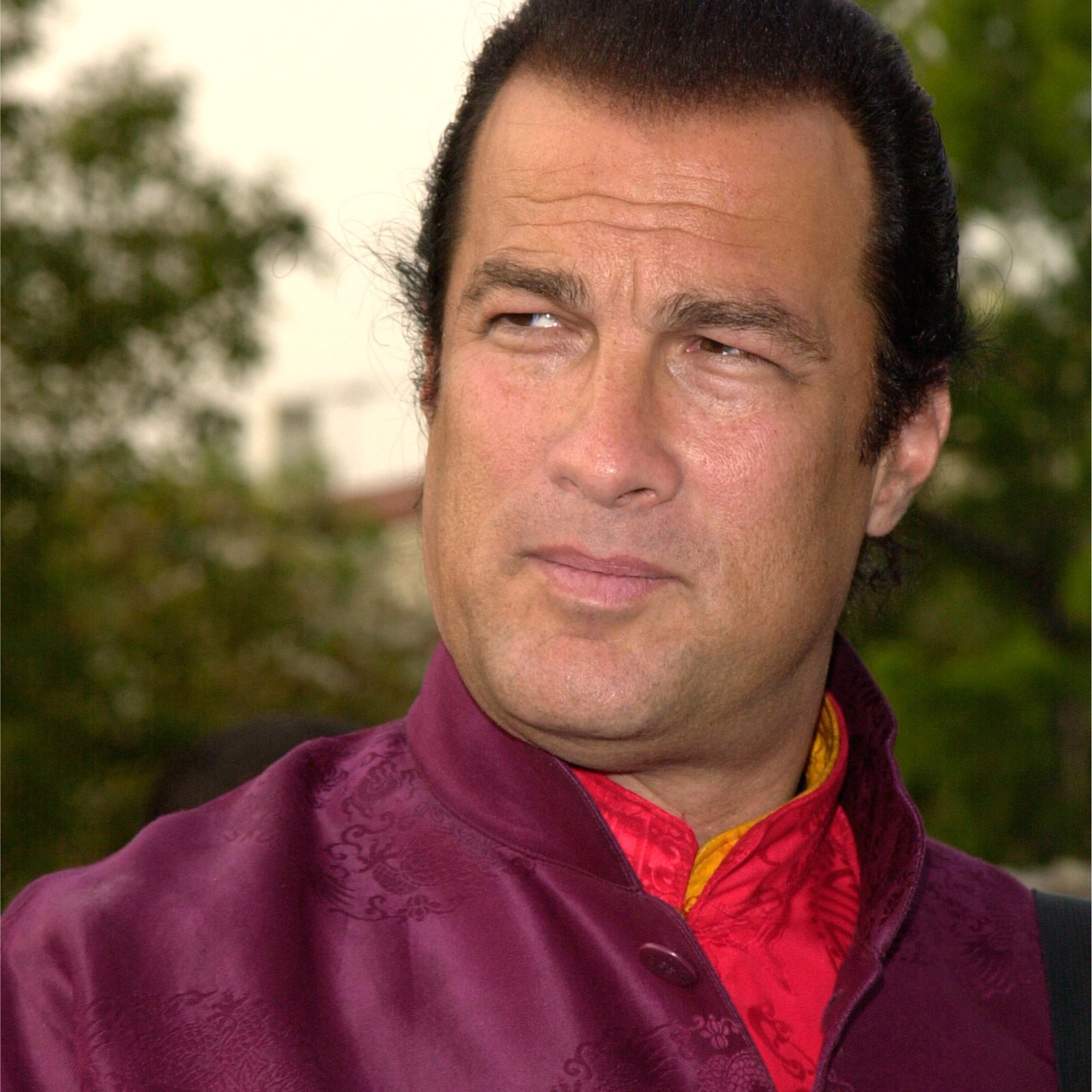 Steven Seagal Karate Chops Bitcoiin ICO Goodbye