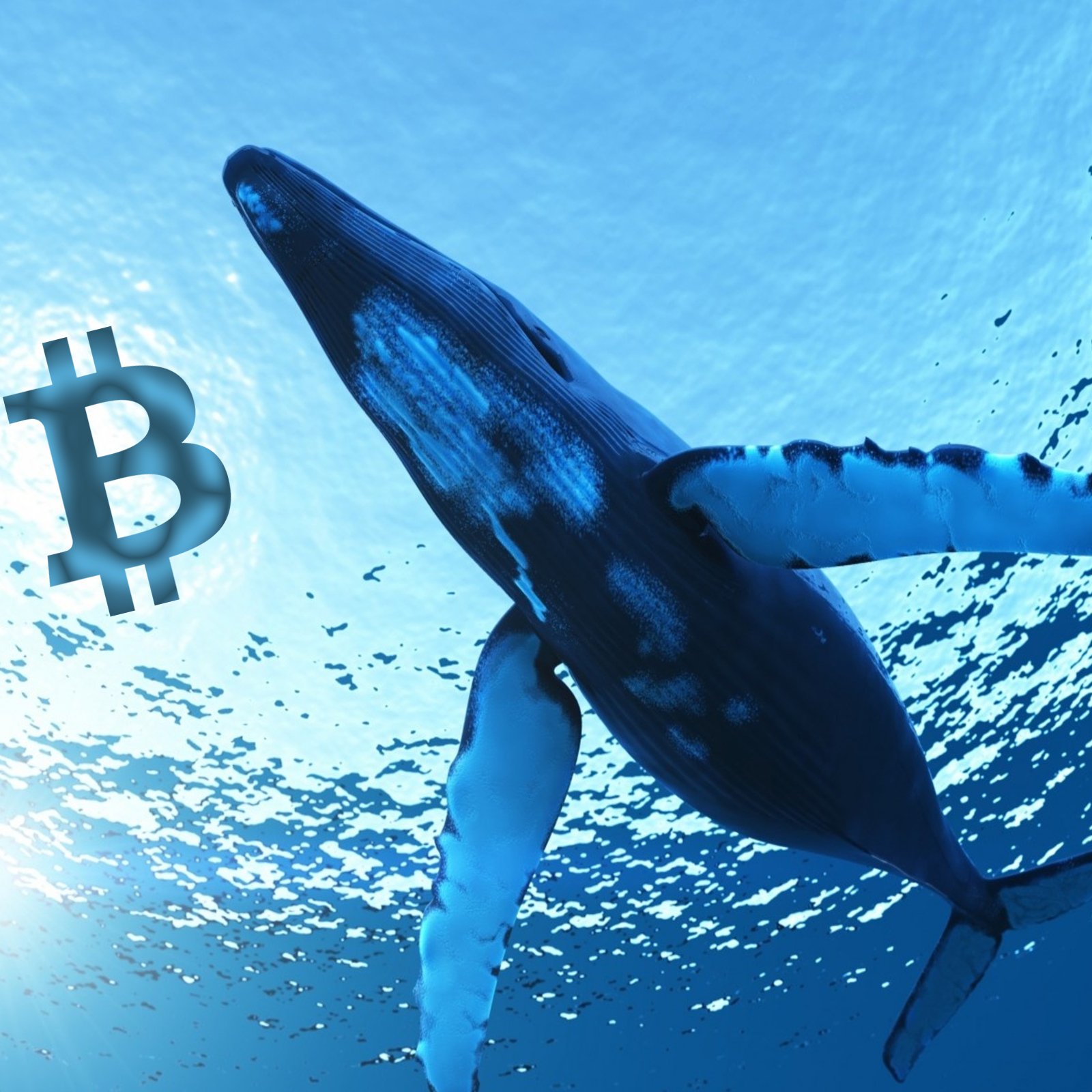 Genesis Launches Whale Sized Crypto-Loan Service