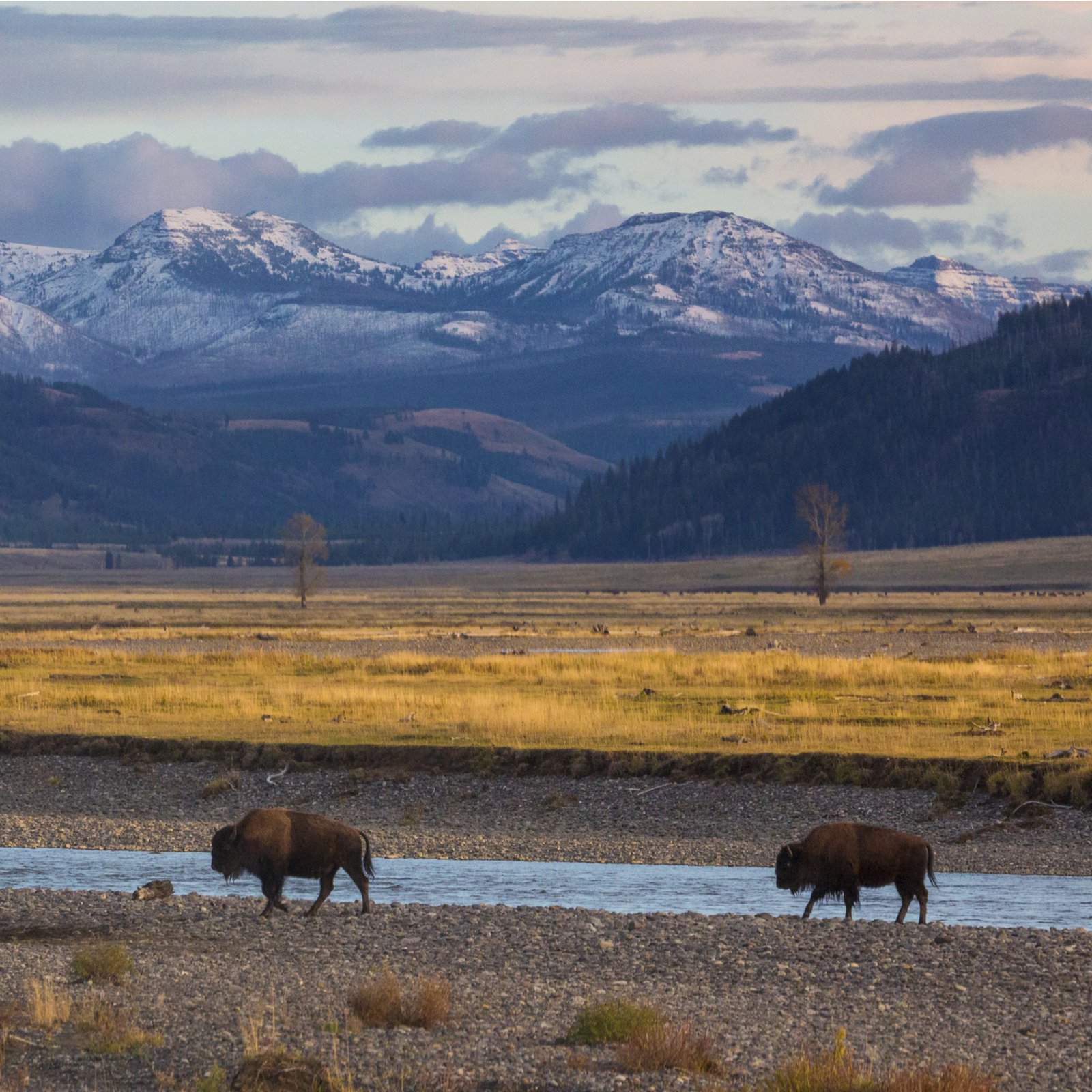 US State of Wyoming Exempts Cryptocurrencies From Property Taxes