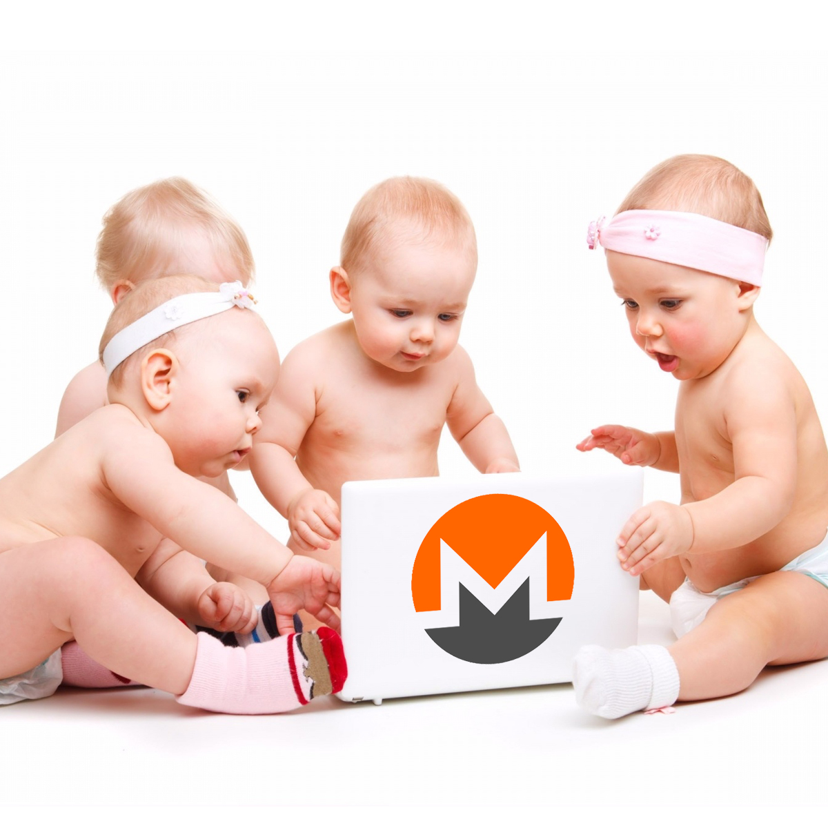 Privacy-Centric Coin XMR Splits Into Four Different Monero Protocols