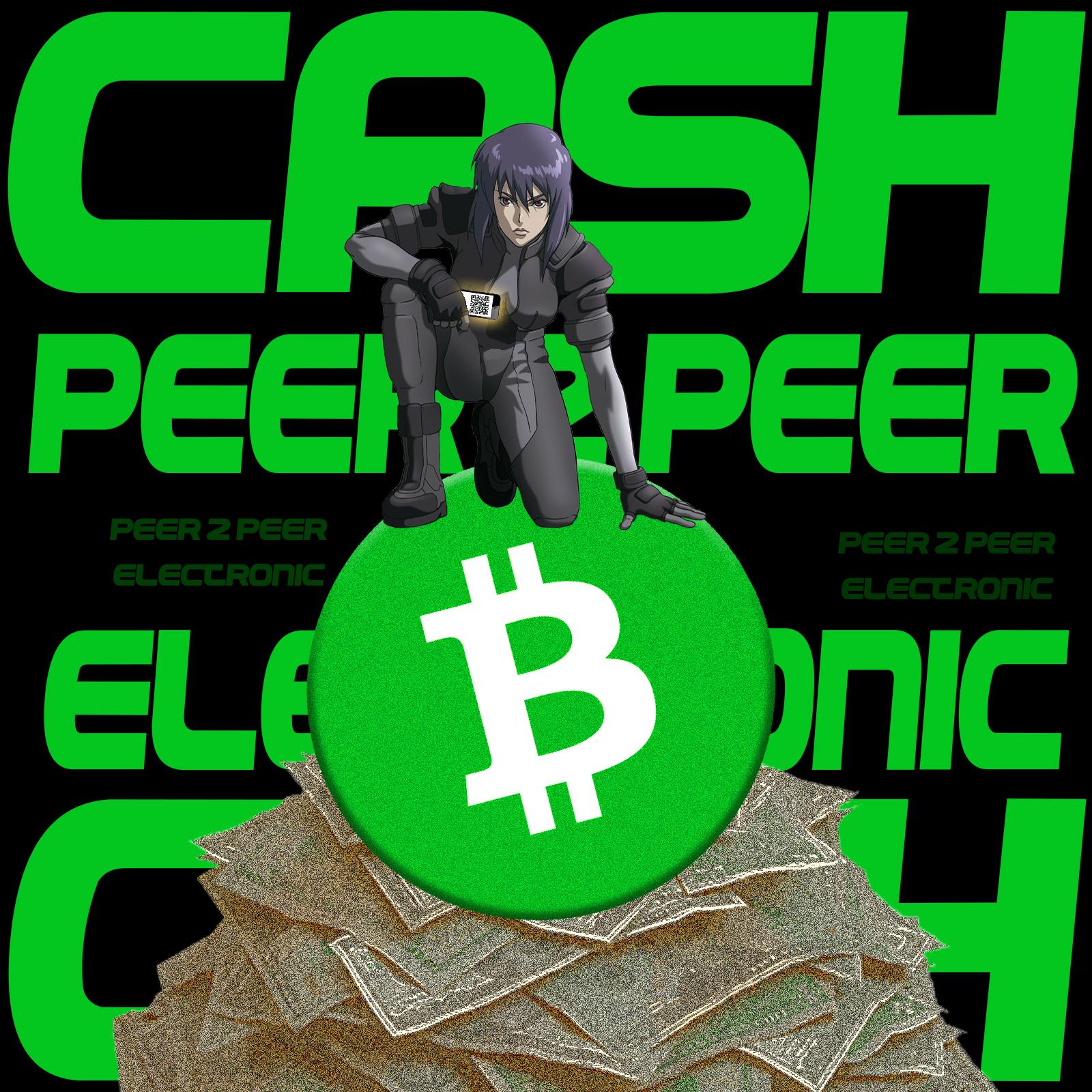 Ken Shishido Wants Everybody to Use the 'Cash' Denomination for Fractions of BCH