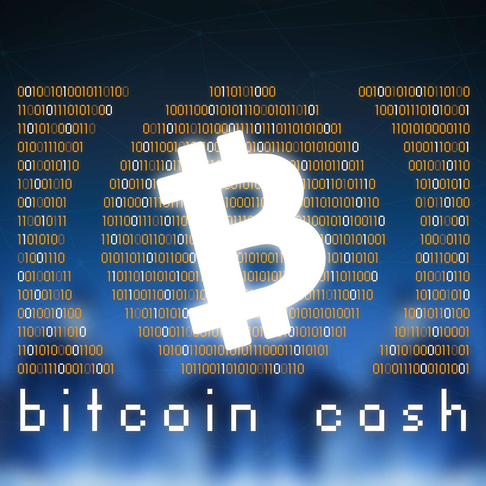 This Week in Bitcoin: Smooth Bitcoin Cash Upgrade, BCH and BTC Tax Payments in Florida