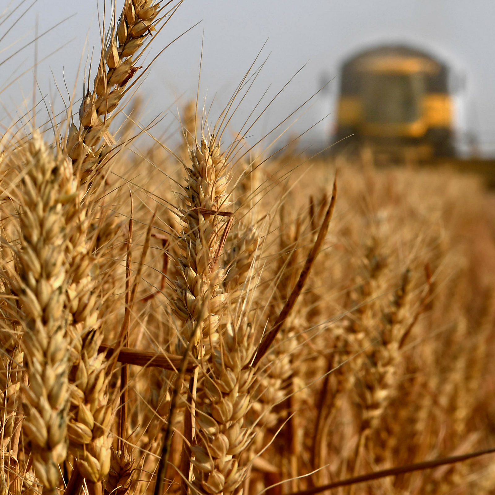 Russian Farming Village: Local Crypto, Bitcoin Reserves, No Govt Money