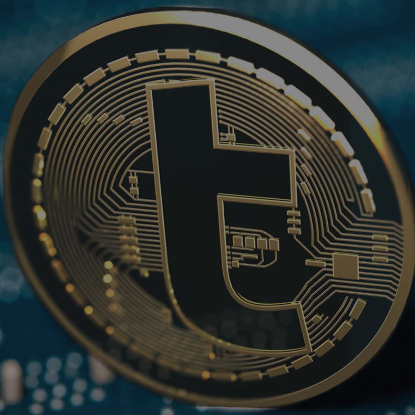 Turcoin Ponzi Scheme Exposed, Founders Flee with Millions