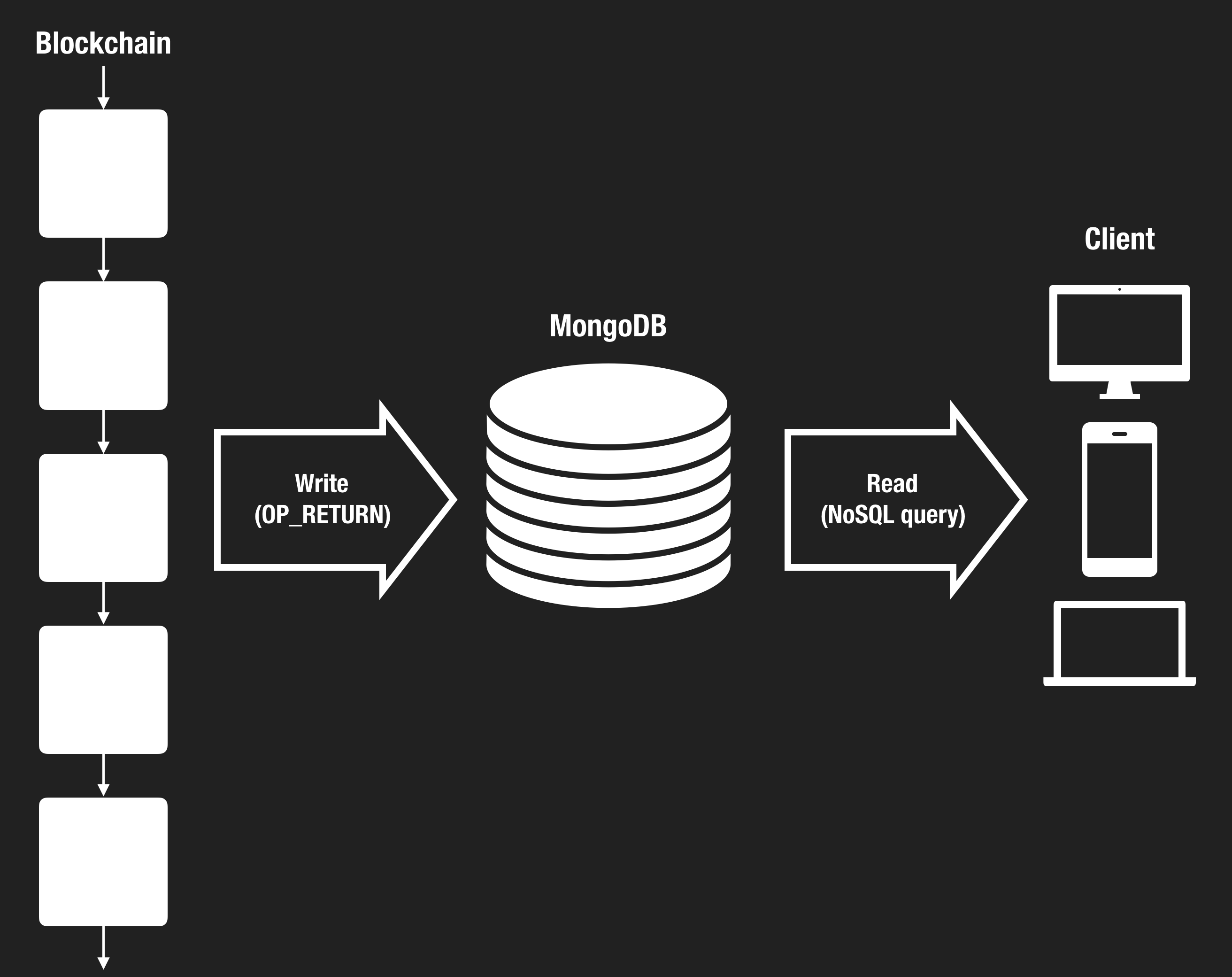 Bitcoin Cash Sees More Infrastructure, Applications, and Protocol Innovation