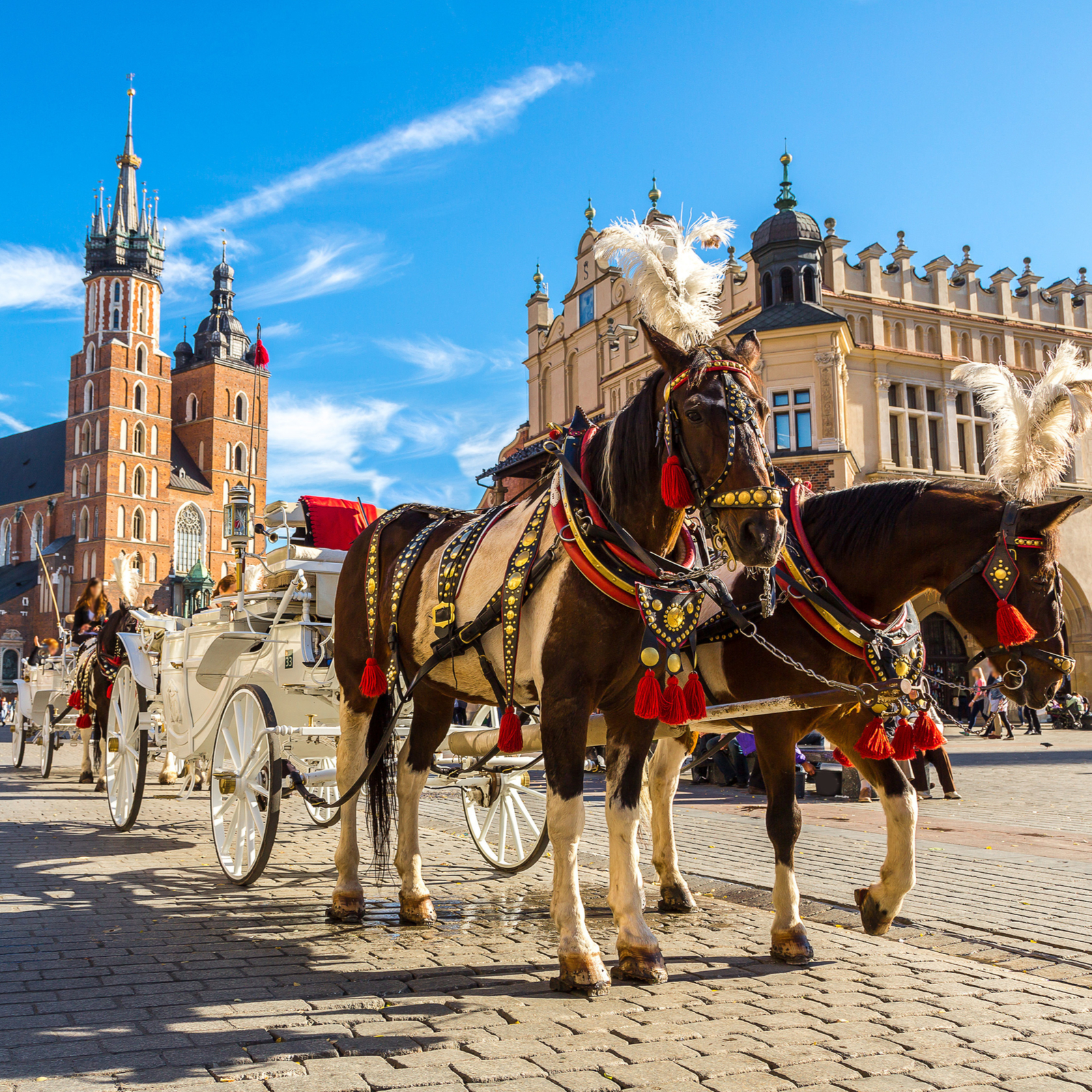 Polish BTC Association Seeks Protection From Alleged Banking Embargo