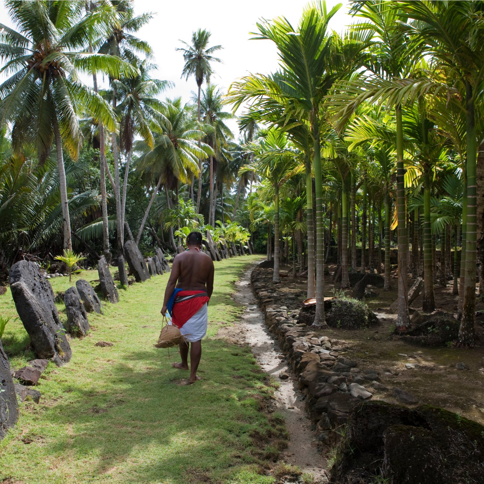 Archaeologists Argue Micronesian Stone Money Comprises Bitcoin Predecessor