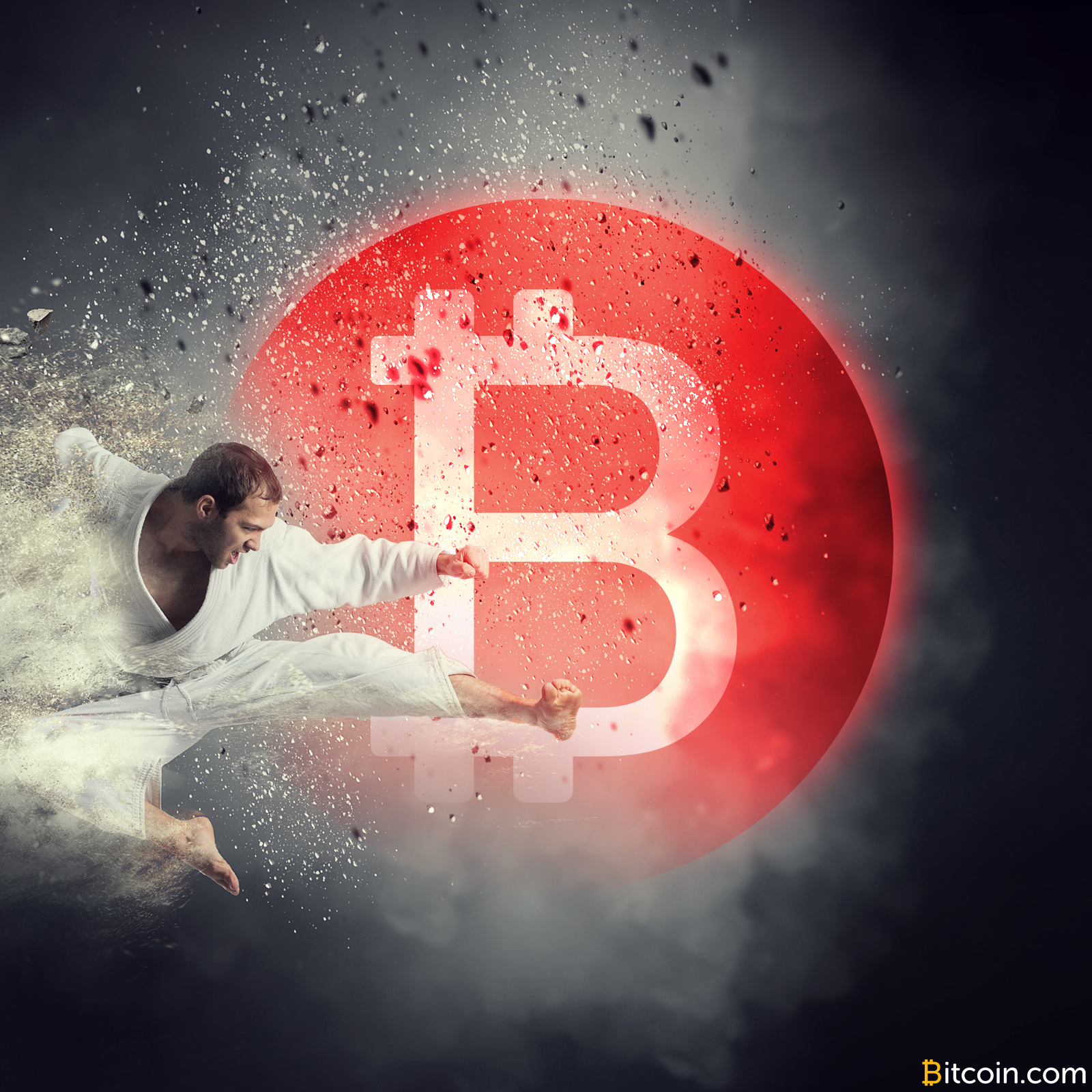 The Jiu-Jitsu of Crypto - Personal Freedom vs Social Change