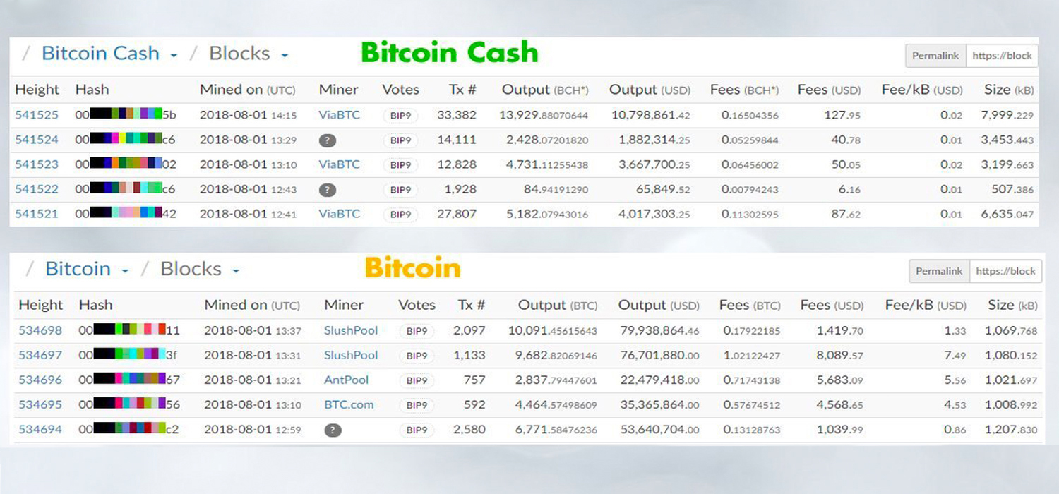 The Bitcoin Cash Network Processed 687,000 Transactions on August 1st