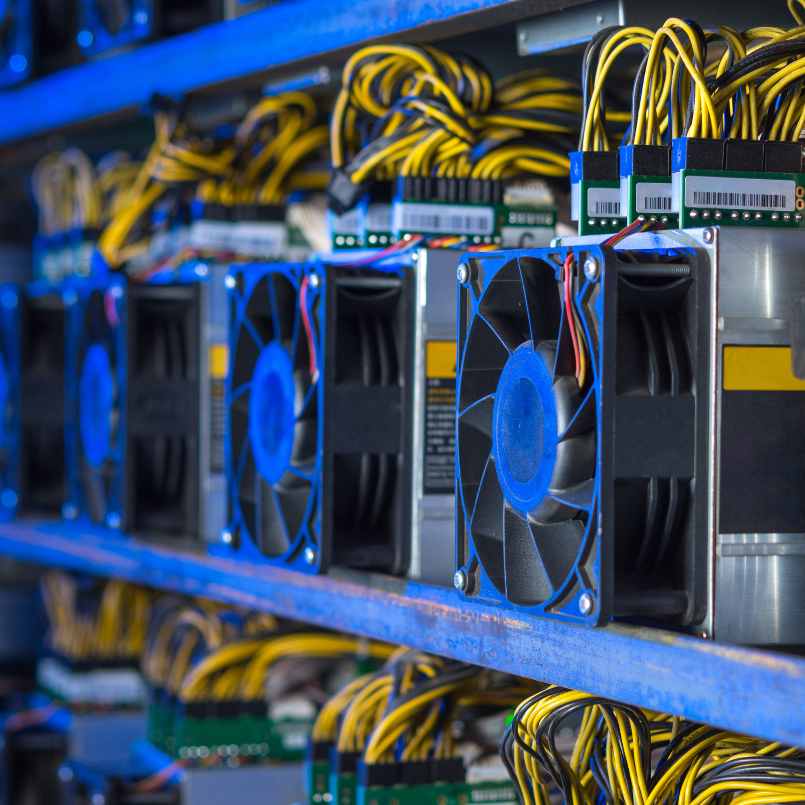 Regional Government Announces Opening of Largest Crypto Mining Farm in Russia