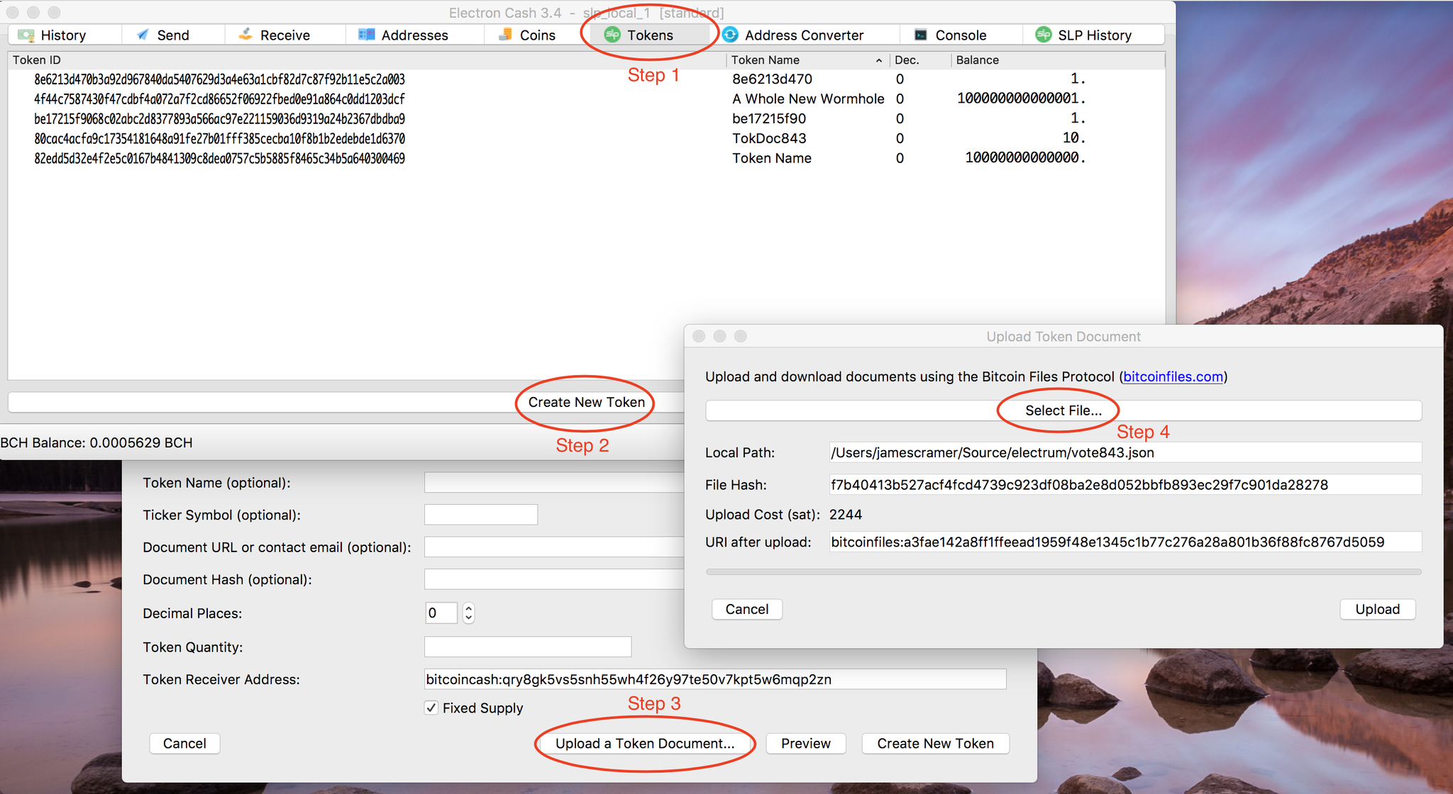 The Bitcoin Files Protocol Provides a BCH Secured File Storage System