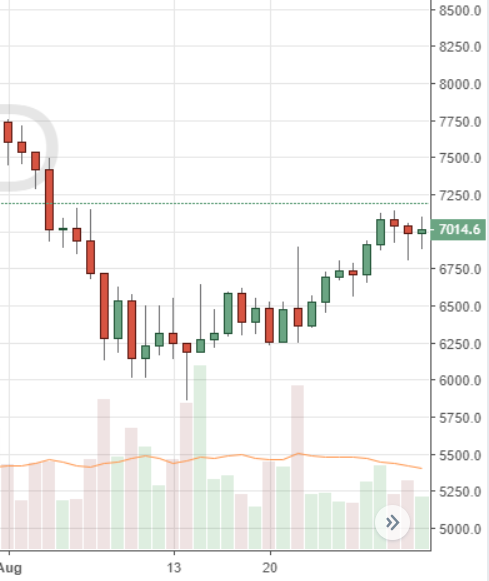 August Markets Report: Heavy Selling Across Leading Crypto Markets