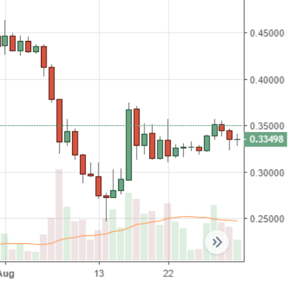 August Markets Report: Heavy Selling Across Leading Crypto Markets 