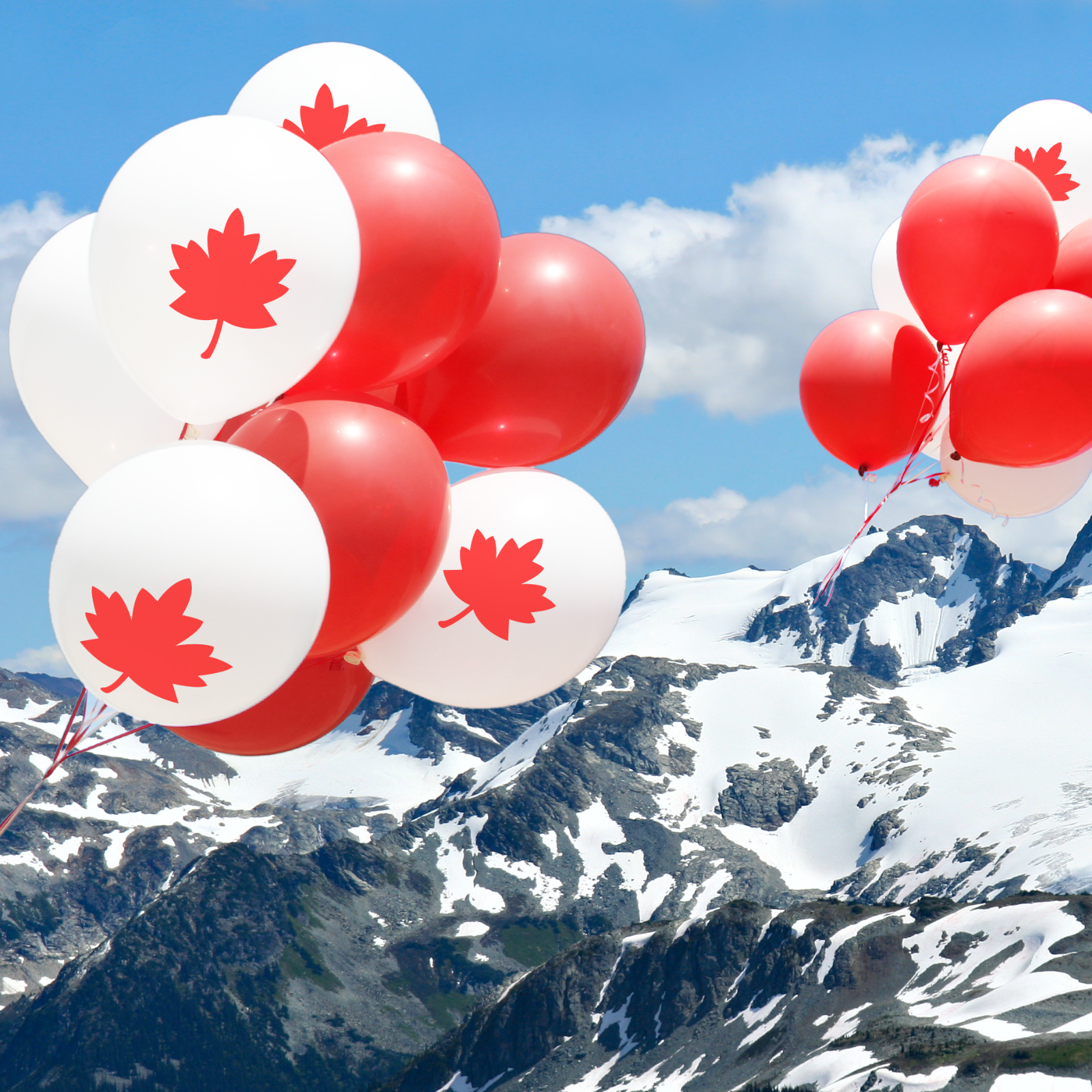 Canadian Regulated Bitcoin Trust Achieves Mutual Fund Trust Status