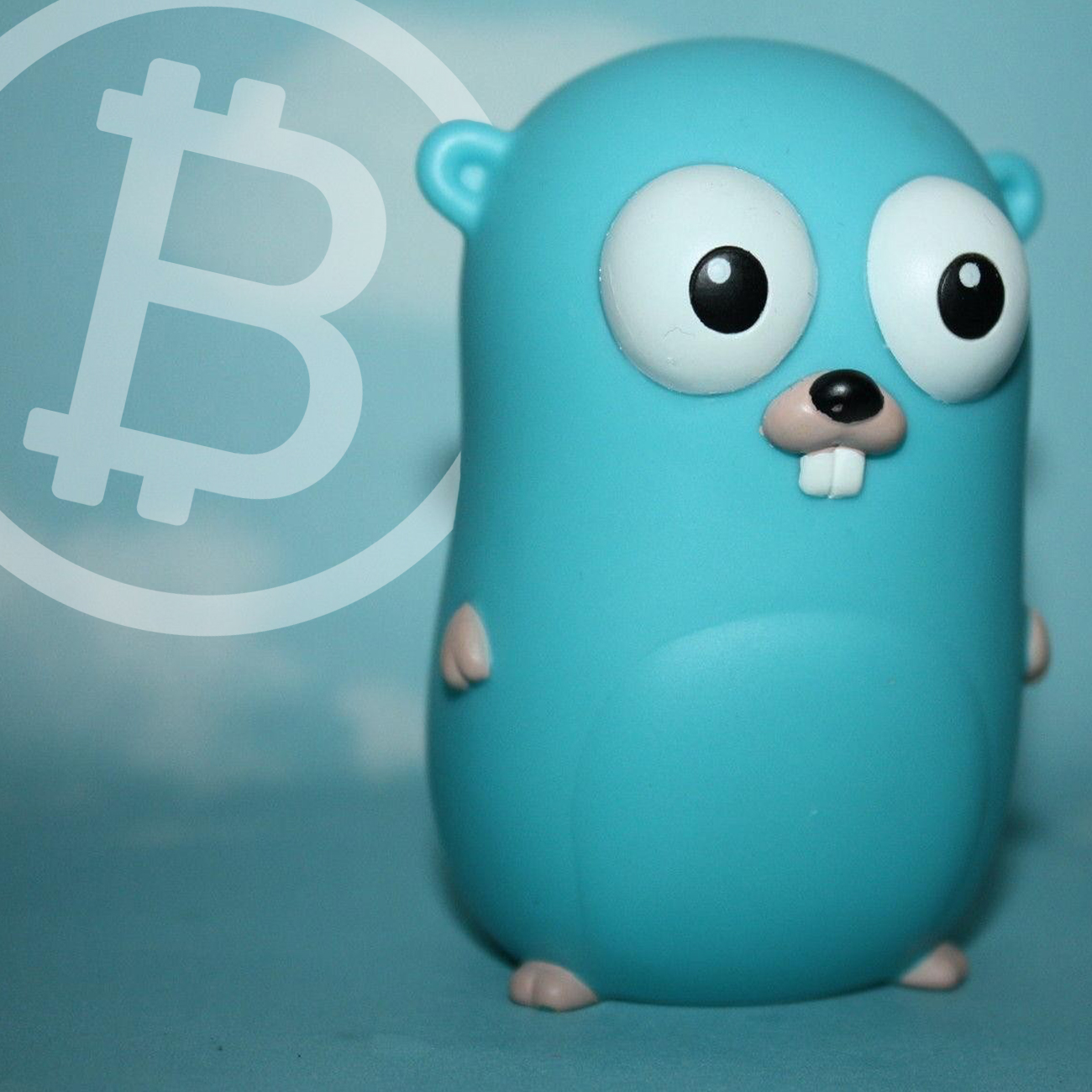 Bitcoin Cash Developers Launch Beta Bchd Client Written in Golang