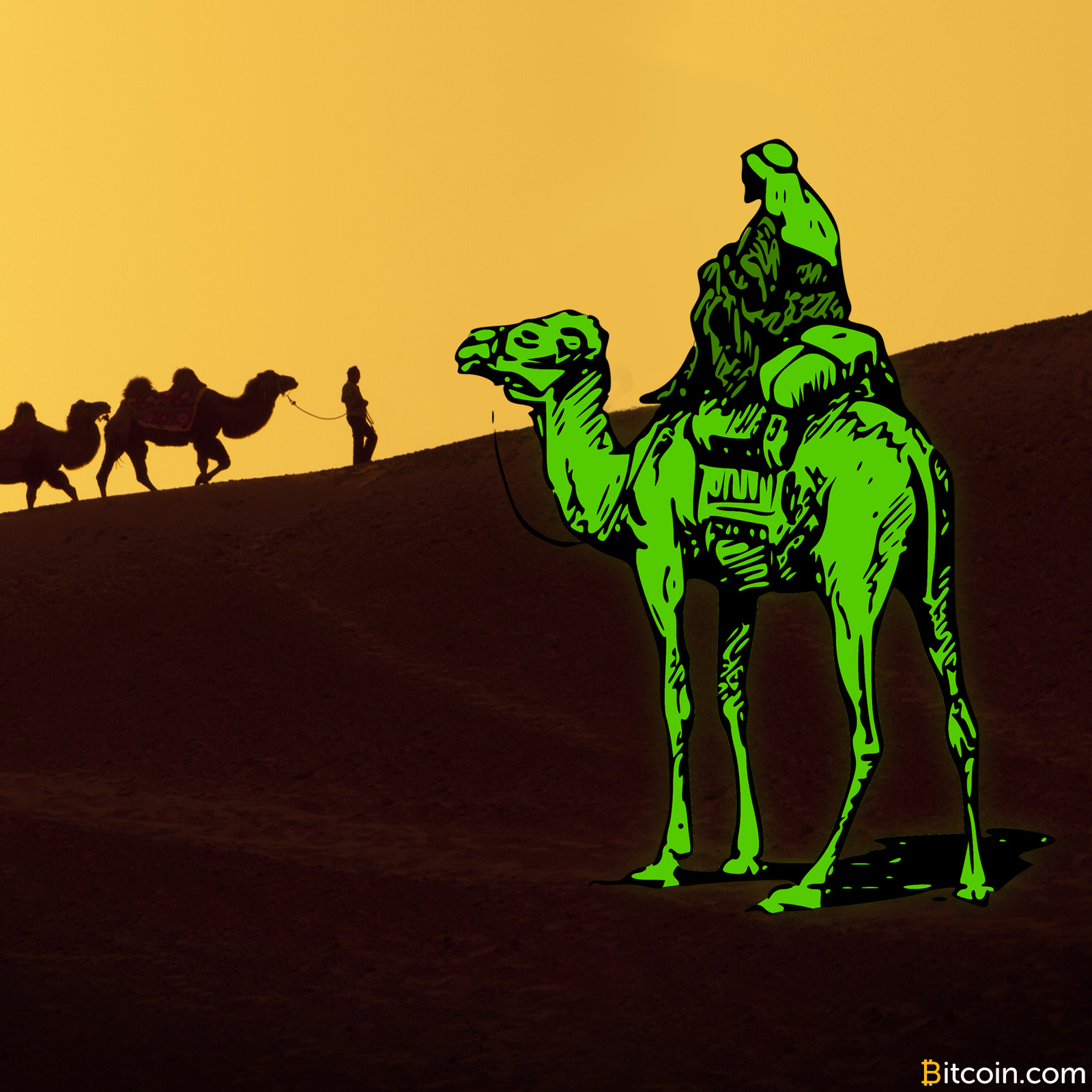 Silk Road Fake Murder Mystery May Be Solved