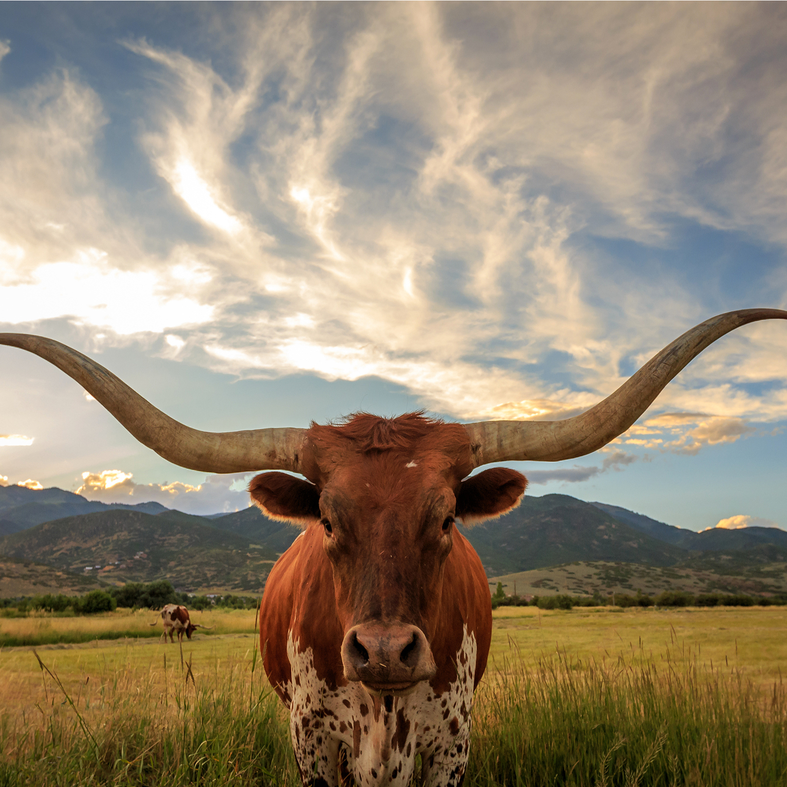 Texas Updates Regulatory Guidance Regarding Activities Involving Cryptocurrency