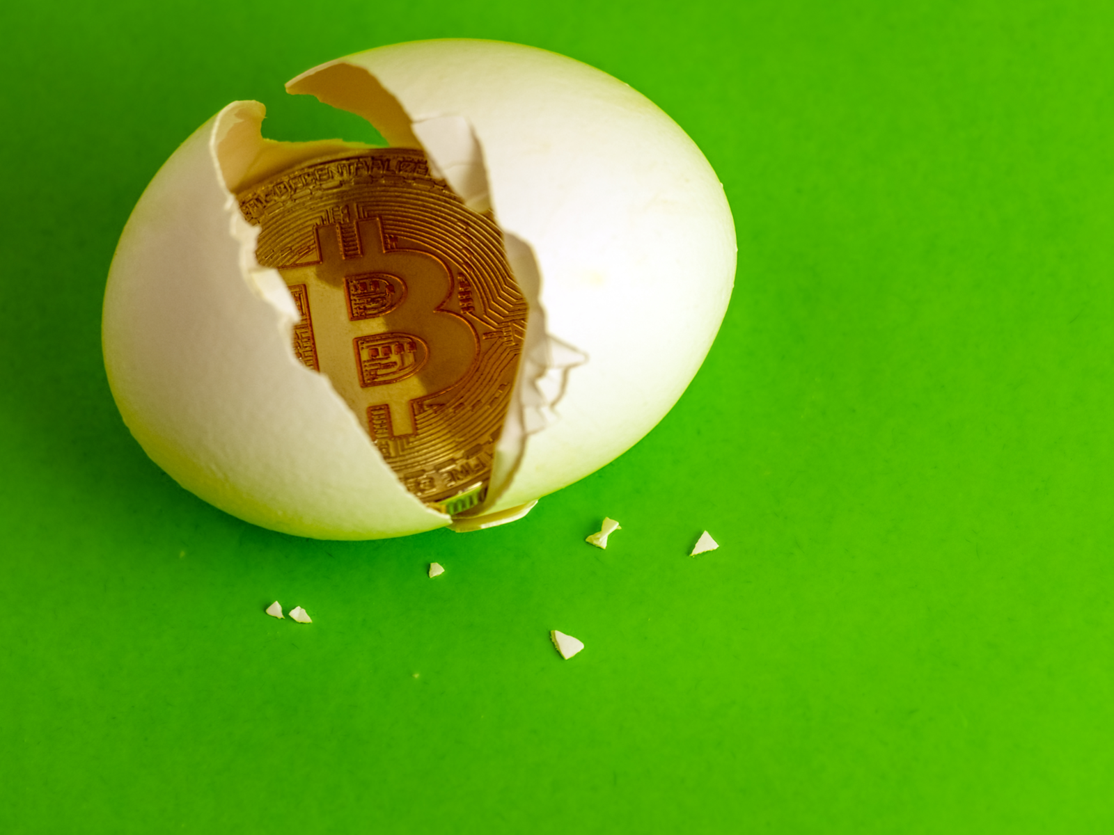 These Bitcoin Easter Eggs Are Hidden in Plain Sight