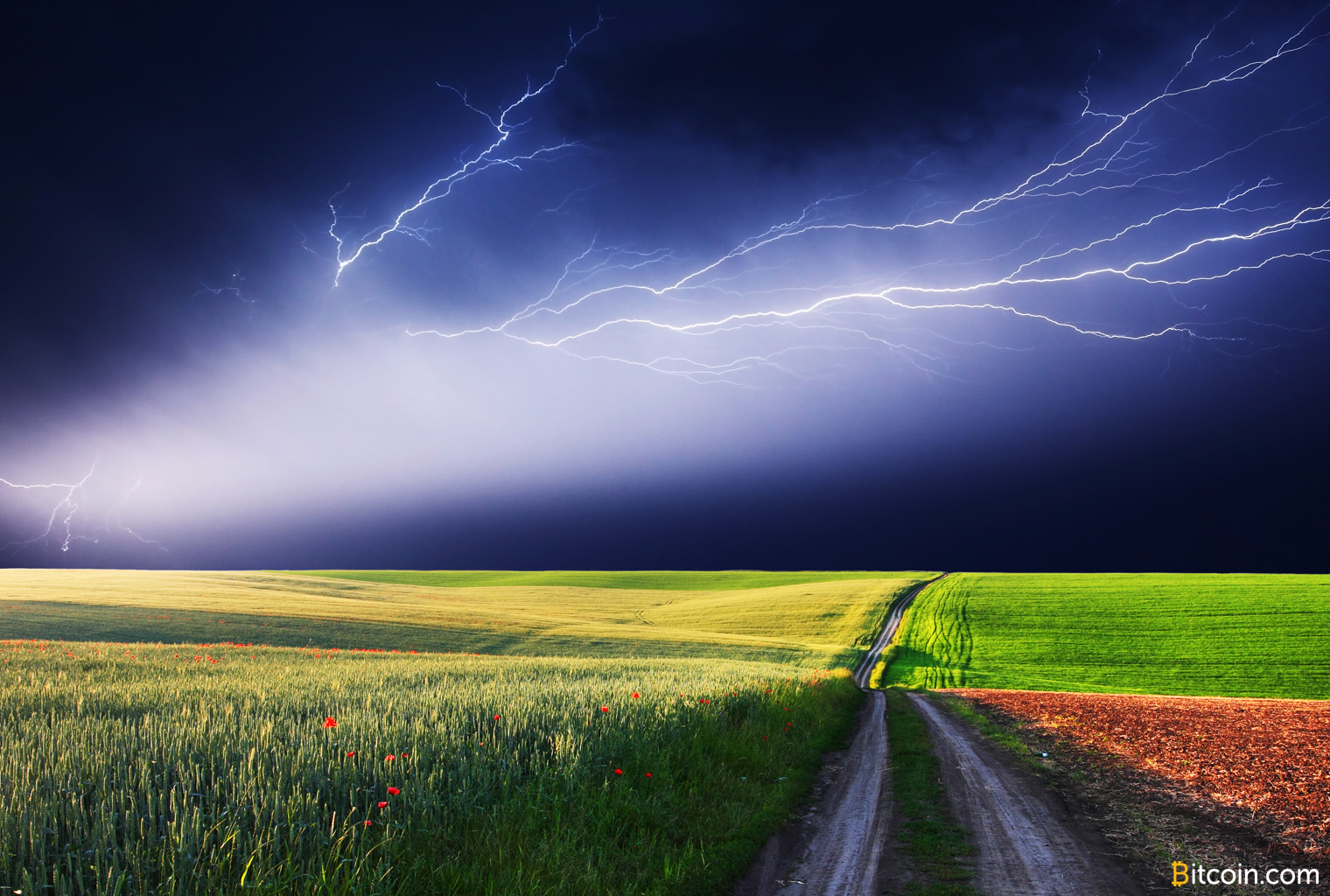 Business Owner's Seething Critique of the Lightning Network Goes Viral