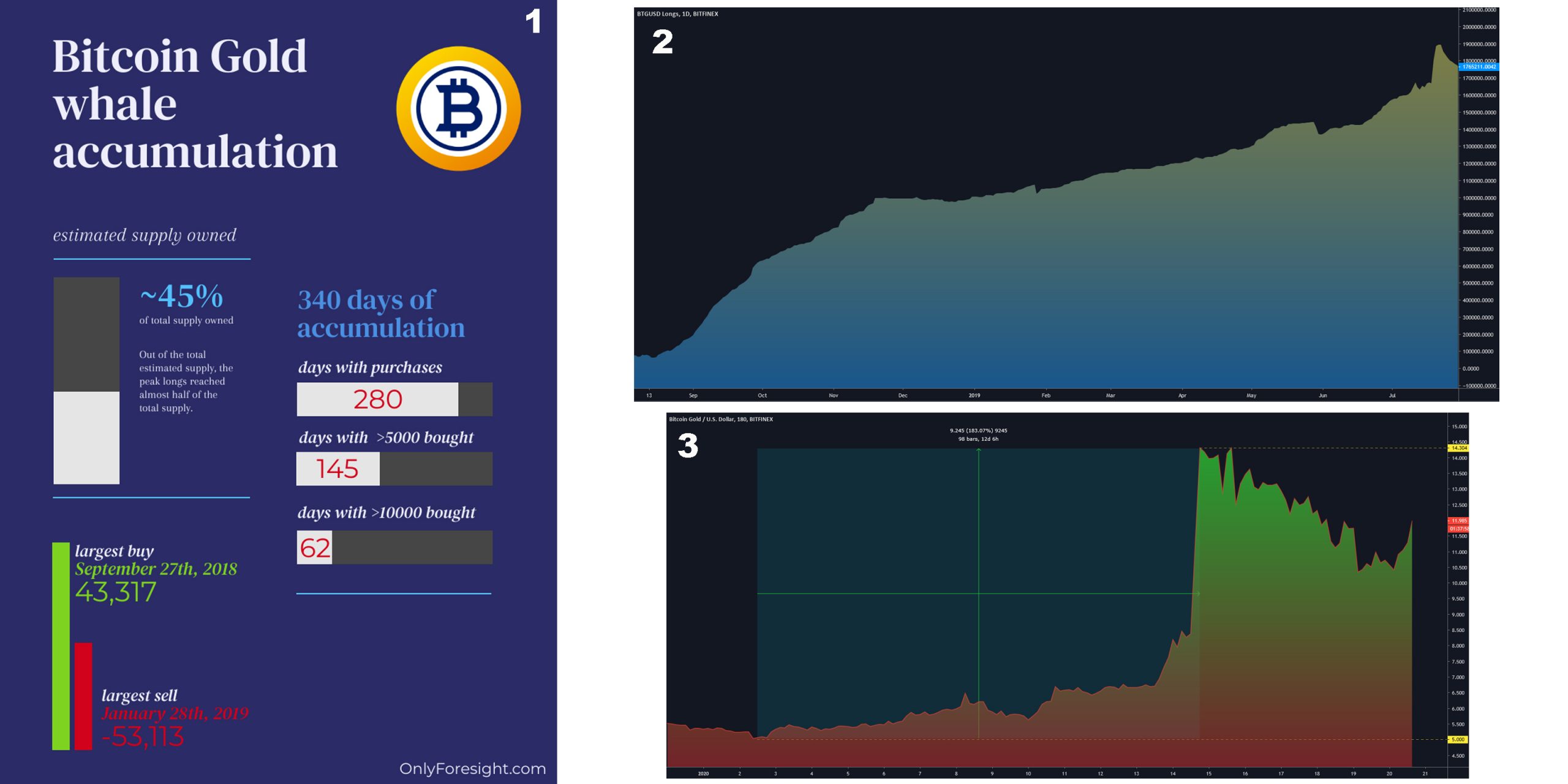 Bitcoin Gold Whale Allegedly Controls Half the BTG Supply