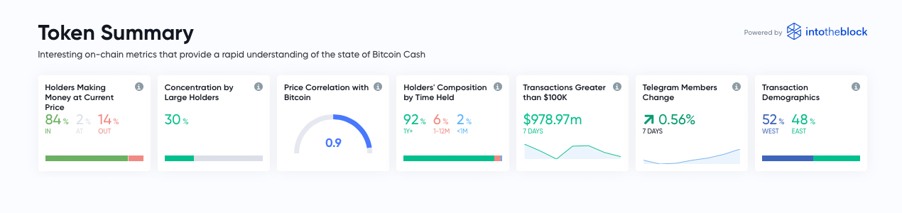 Holders Gather 233K BTC This Year, While Bitcoin Cash Savers Outshine Composition by Time Held