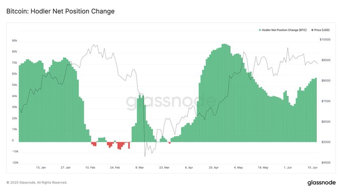 Holders Gather 233K BTC This Year, While Bitcoin Cash Savers Outshine Composition by Time Held