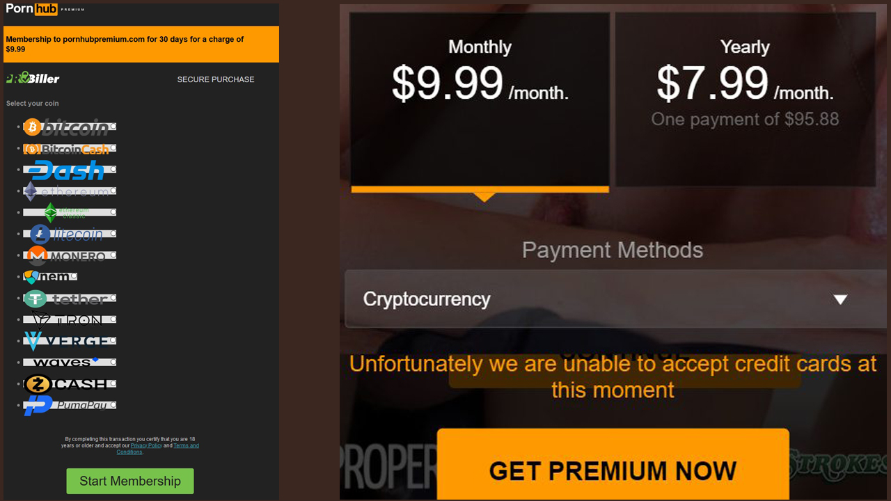 Pornhub's Premium Services Now Default to Crypto Payments, 13 Digital Assets Supported