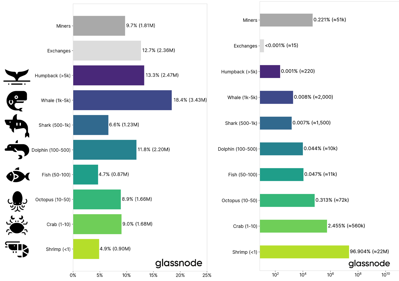 Analysis Shows Bitcoin Whales Are Stockpiling, but 'BTC Ownership Is Not Highly Concentrated'