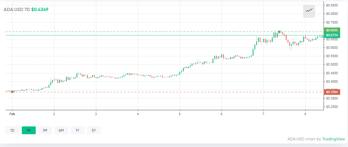 Cardano Token Pips Dot Into Fifth Place After Price Surges by 85% —Elon Musk Endorsed Dogecoin Sets New All Time High