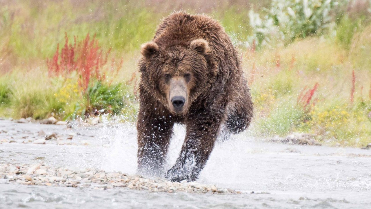 After More Than 380 Days, Crypto Supporters Celebrate Surviving the Second-Longest Bitcoin Bear Market