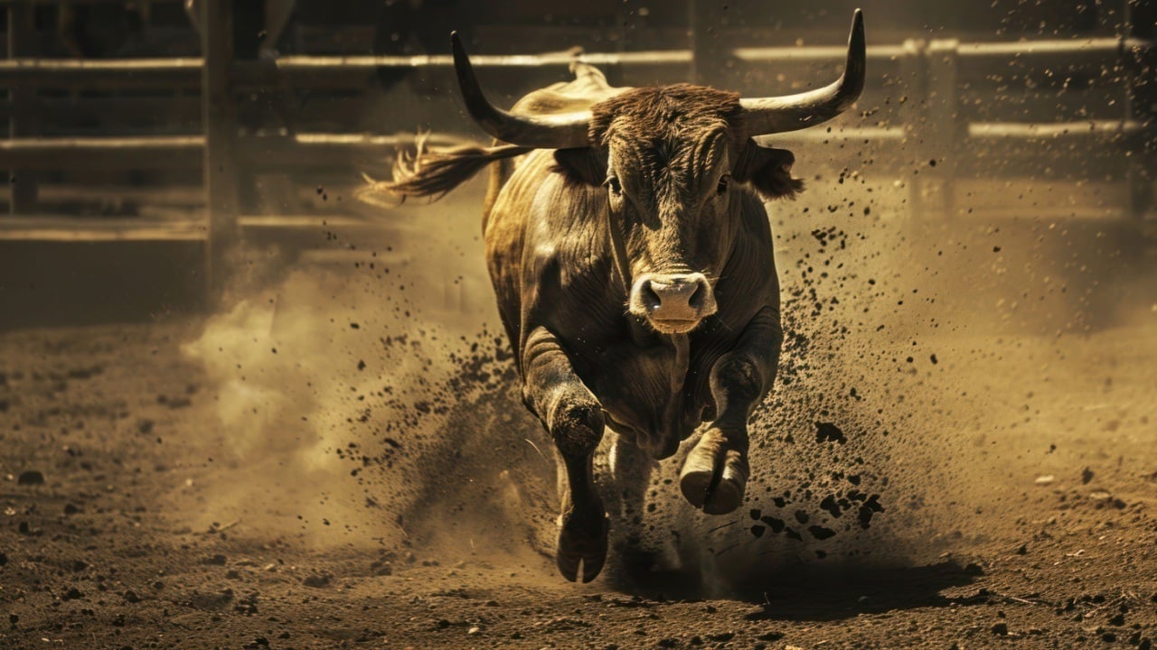 Crypto's in a Multi-Year Bull Market, and the Fed Can’t Stop It, Expert Says